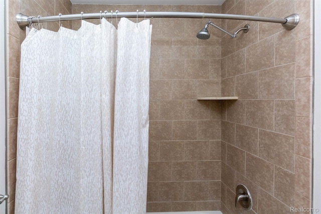 52854 Schafers Run Ct, New Baltimore, MI 48051 - bathroom featuring a shower with shower curtain