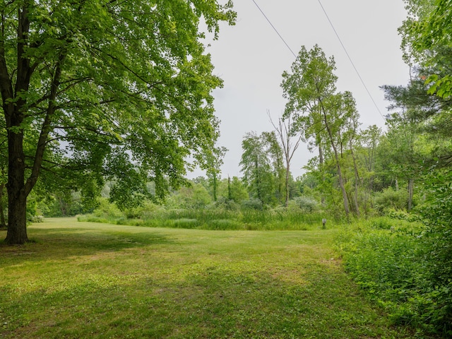 55840 Western Ave, Mattawan, MI 49071 - view of green lawn