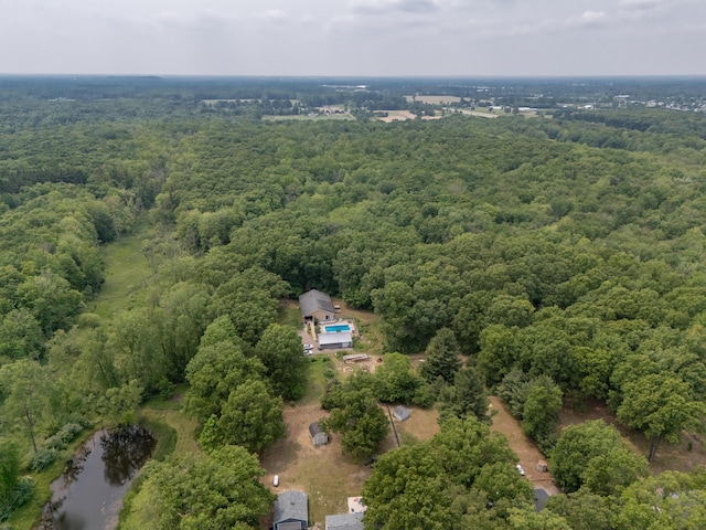 55840 Western Ave, Mattawan, MI 49071 - drone / aerial view of a forest and a nearby body of water