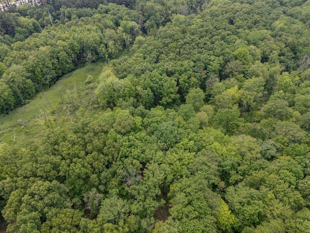 55840 Western Ave, Mattawan, MI 49071 - aerial overview of property's location with a heavily wooded area