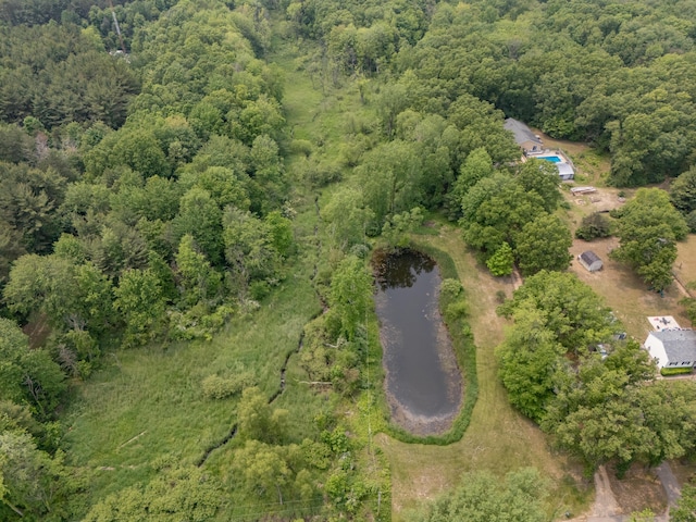 55840 Western Ave, Mattawan, MI 49071 - aerial overview of property's location with a heavily wooded area and a large body of water