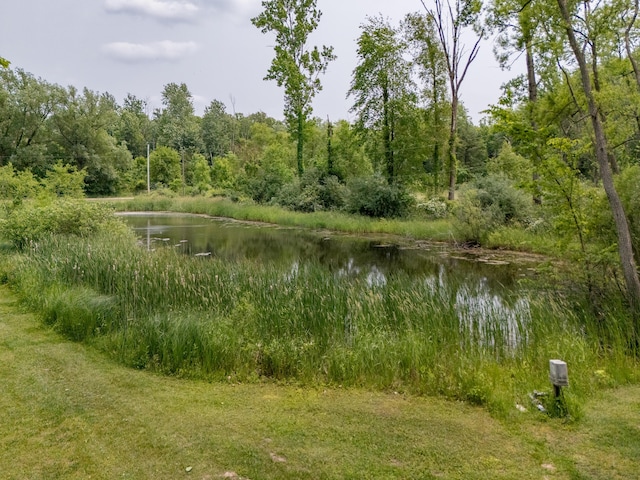 55840 Western Ave, Mattawan, MI 49071 - water view with a forest