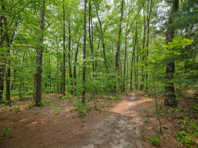 55840 Western Ave, Mattawan, MI 49071 - view of wooded area