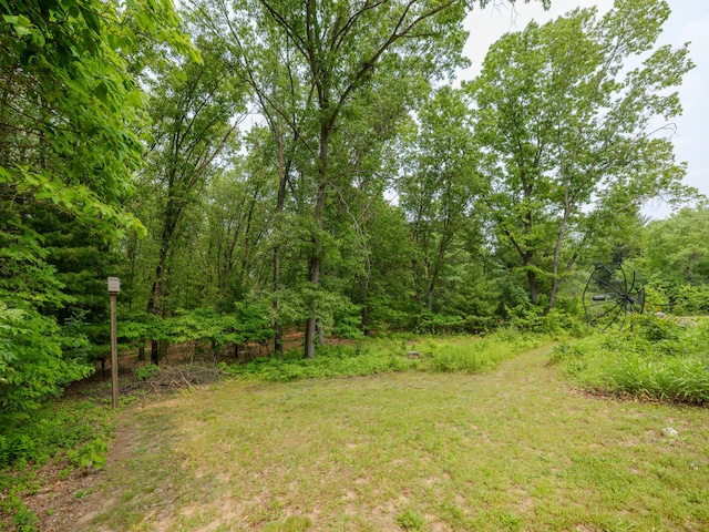 55840 Western Ave, Mattawan, MI 49071 - view of yard with a forest view