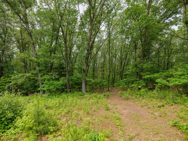 55840 Western Ave, Mattawan, MI 49071 - view of tree filled area