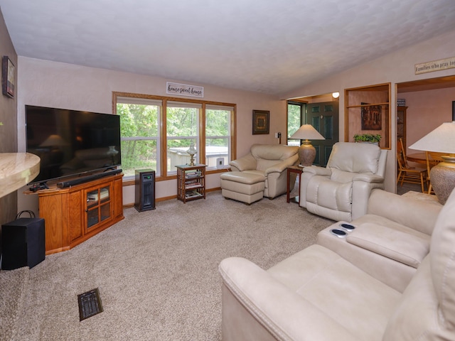 55840 Western Ave, Mattawan, MI 49071 - living room with healthy amount of natural light, carpet floors, and vaulted ceiling