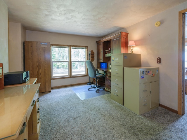 55840 Western Ave, Mattawan, MI 49071 - carpeted office space with baseboards and a textured ceiling