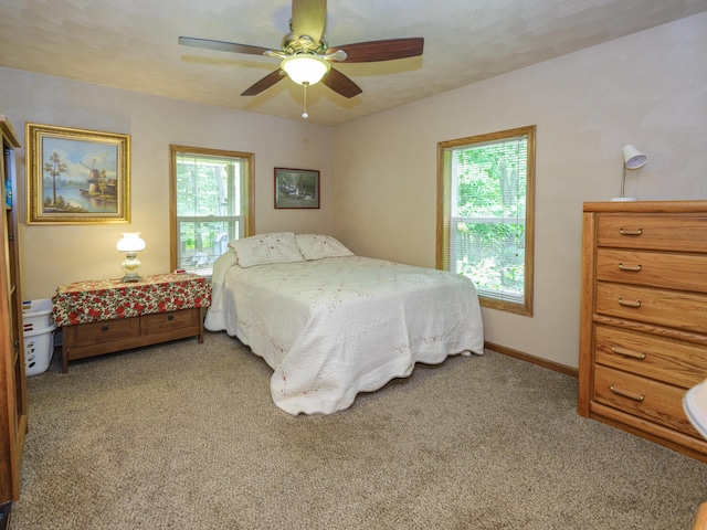 55840 Western Ave, Mattawan, MI 49071 - carpeted bedroom with multiple windows and ceiling fan