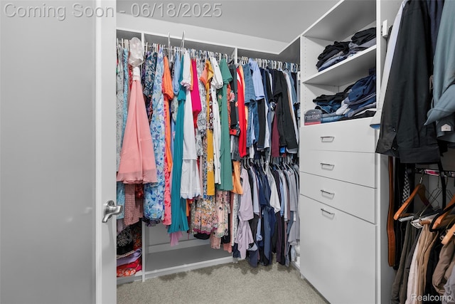 392 Gunston Ct, Troy, MI 48083 - walk in closet with carpet floors