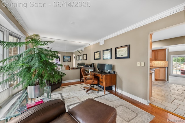 43115 Whisper Ct, Northville, MI 48168 - office space with ornamental molding and light wood finished floors