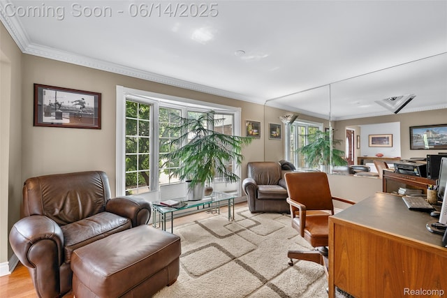 43115 Whisper Ct, Northville, MI 48168 - home office with ornamental molding and light wood finished floors
