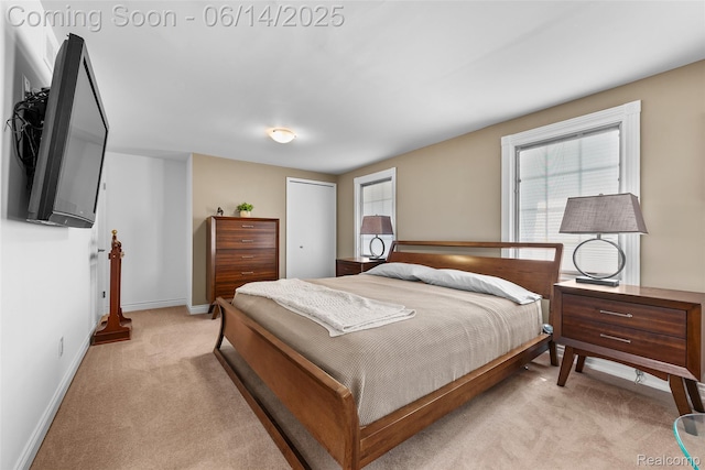 43115 Whisper Ct, Northville, MI 48168 - bedroom featuring light carpet, multiple windows, and a closet
