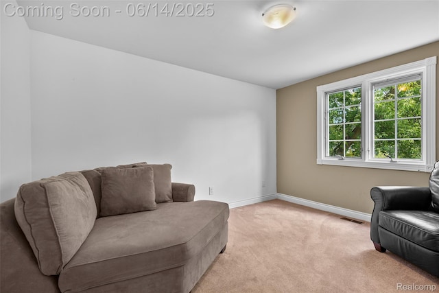 43115 Whisper Ct, Northville, MI 48168 - sitting room with carpet flooring and baseboards
