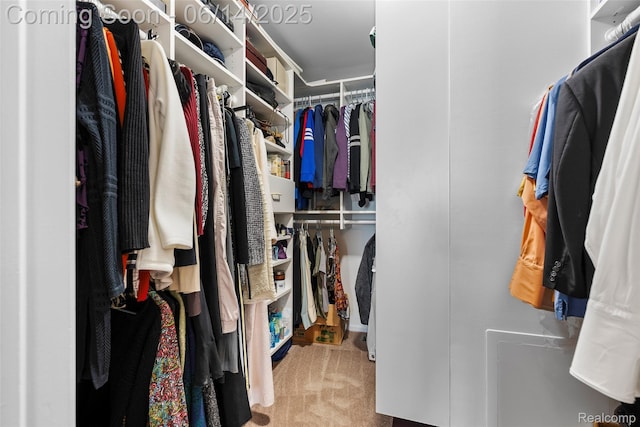 43115 Whisper Ct, Northville, MI 48168 - spacious closet with carpet flooring