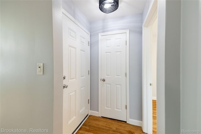 24251 Cloverlawn St, Oak Park, MI 48237 - corridor with wood finished floors and baseboards