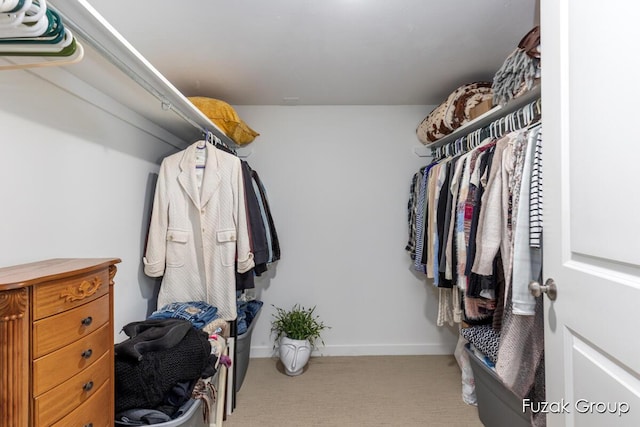 4733 136th Ave, Hamilton, MI 49419 - spacious closet with carpet floors