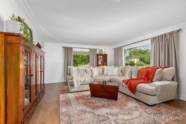 4733 136th Ave, Hamilton, MI 49419 - living room featuring healthy amount of natural light, ornamental molding, and wood finished floors