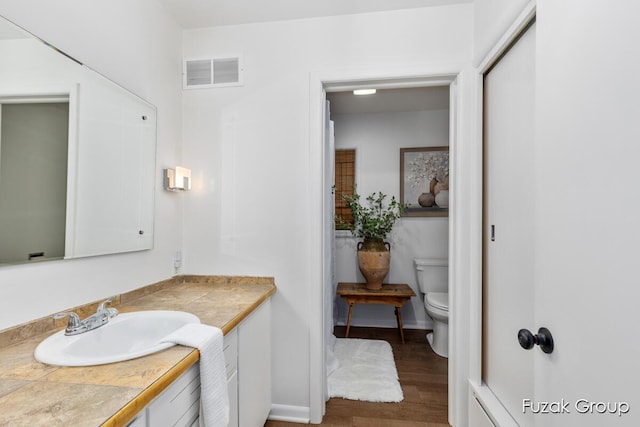 4733 136th Ave, Hamilton, MI 49419 - bathroom with vanity and wood finished floors