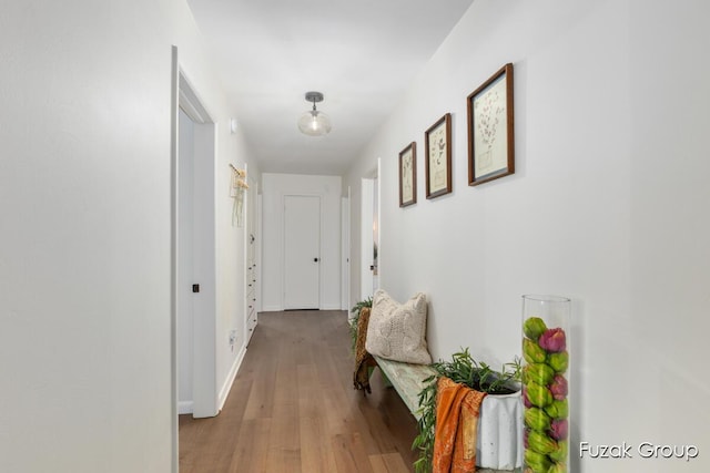 4733 136th Ave, Hamilton, MI 49419 - hallway with light wood finished floors and baseboards