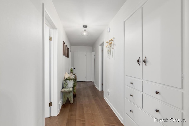4733 136th Ave, Hamilton, MI 49419 - hallway featuring wood finished floors and baseboards
