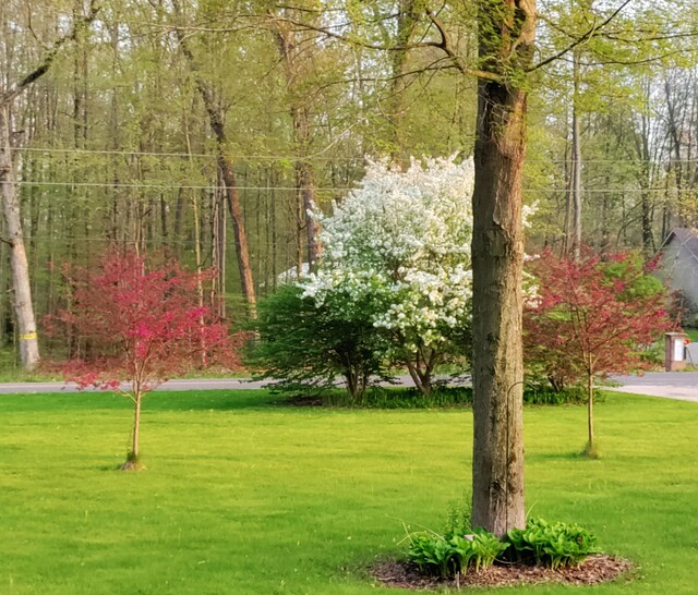 30170 Beeson St, Dowagiac, MI 49047 - surrounding community featuring a lawn