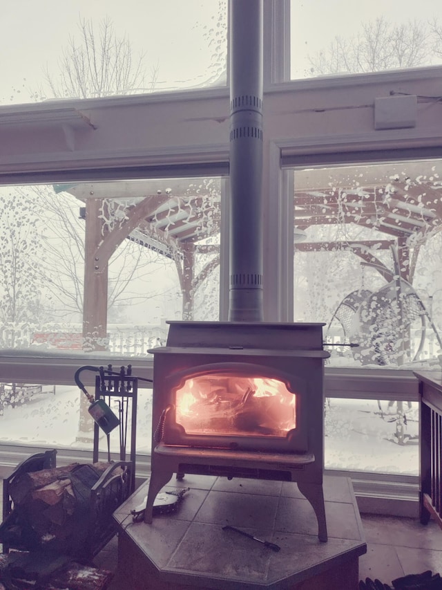 30170 Beeson St, Dowagiac, MI 49047 - detailed view of a wood stove