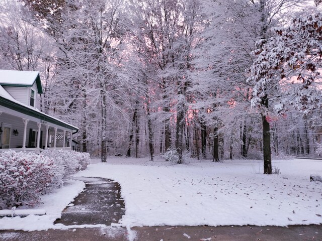 30170 Beeson St, Dowagiac, MI 49047 - yard covered in snow with a forest view