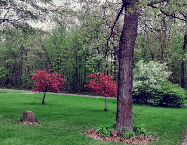 30170 Beeson St, Dowagiac, MI 49047 - view of property's community with a lawn and a wooded view