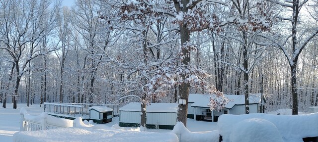 30170 Beeson St, Dowagiac, MI 49047 - view of property's community with a view of trees