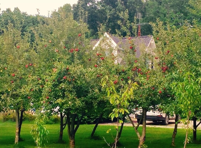 30170 Beeson St, Dowagiac, MI 49047 - view of community with a yard