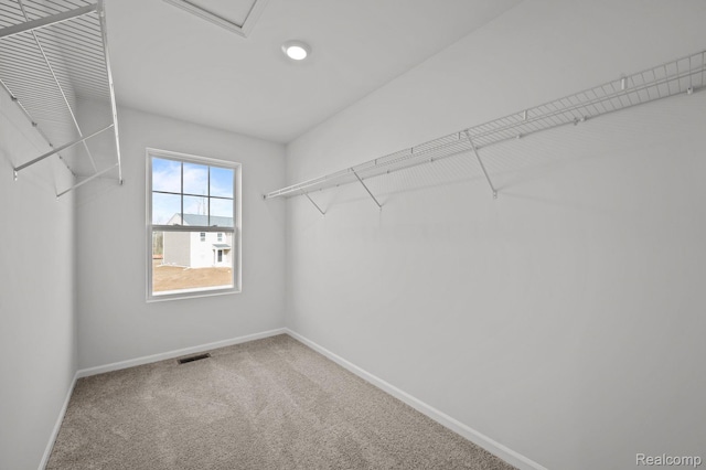 4286 Oak St, Grand Blanc, MI 48439 - spacious closet with carpet floors