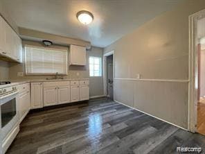8889 Plainview Ave, Detroit, MI 48228 - kitchen with stove, white cabinets, dark wood-style flooring, and light countertops