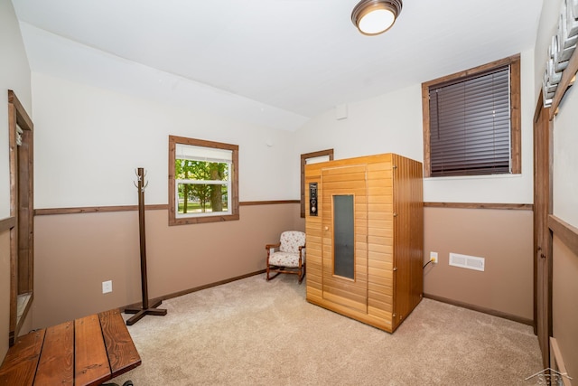 441 Hillcrest Dr, Lake, MI 48632 - unfurnished bedroom featuring carpet flooring and lofted ceiling
