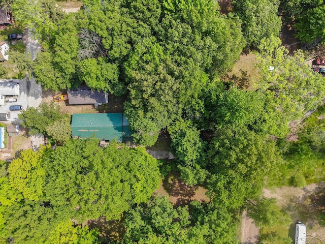 441 Hillcrest Dr, Lake, MI 48632 - bird's eye view