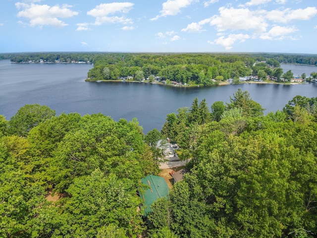441 Hillcrest Dr, Lake, MI 48632 - aerial view of a heavily wooded area and a nearby body of water