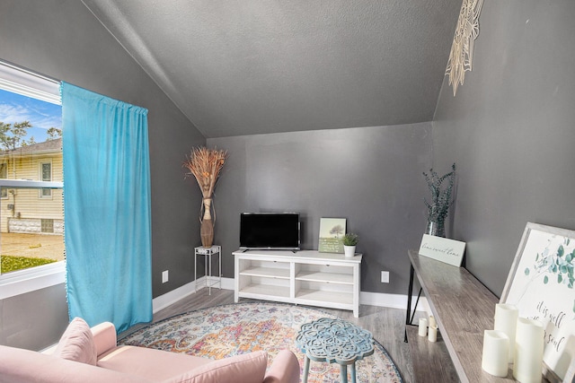 3515 Adams St, Kalamazoo, MI 49008 - living room featuring vaulted ceiling, wood finished floors, and a textured ceiling
