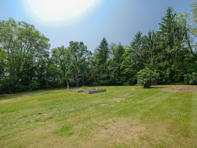 7061 W N Ave, Kalamazoo, MI 49009 - view of green lawn with a vegetable garden