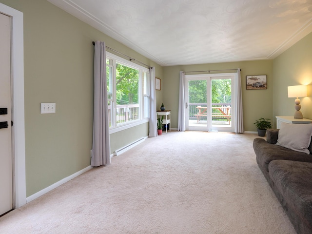 7061 W N Ave, Kalamazoo, MI 49009 - carpeted living room featuring baseboards and a baseboard radiator