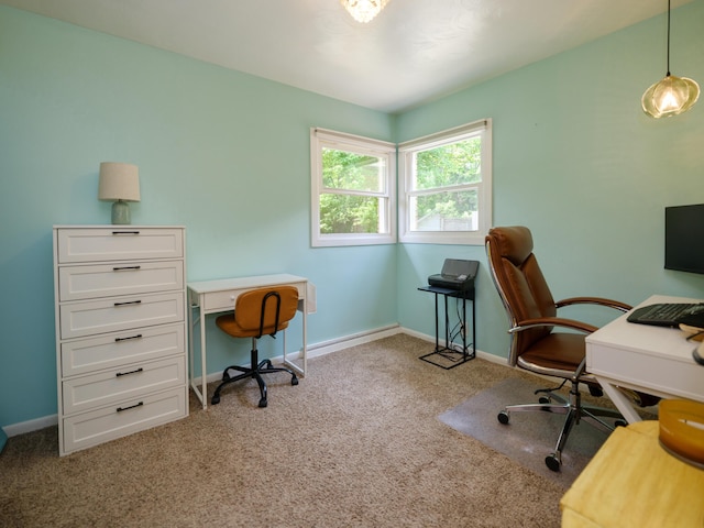 7061 W N Ave, Kalamazoo, MI 49009 - office area with carpet floors and baseboards