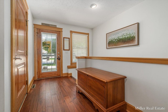 610 Riverwalk St Unit 18, Hastings, MI 49058 - doorway with dark wood-type flooring and a textured ceiling