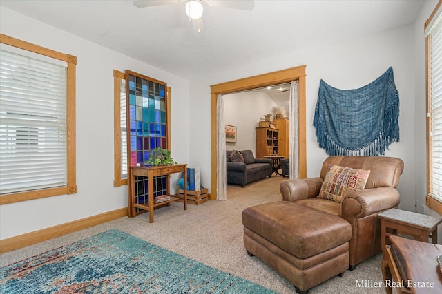 610 Riverwalk St Unit 18, Hastings, MI 49058 - sitting room with a ceiling fan and carpet floors