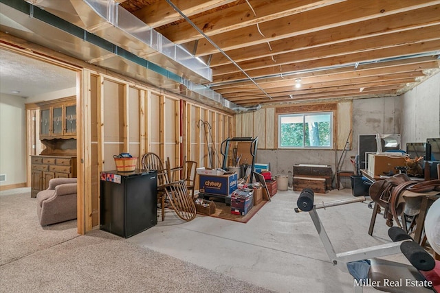 610 Riverwalk St Unit 18, Hastings, MI 49058 - view of basement