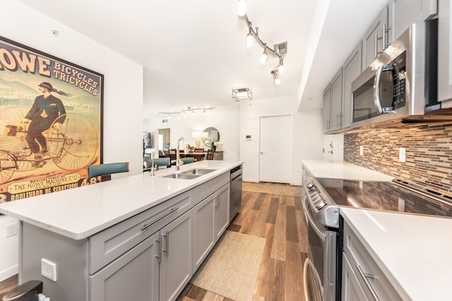 293 N 2nd St Unit 201, Brighton, MI 48116 - kitchen with stainless steel appliances, gray cabinets, track lighting, and wood finished floors