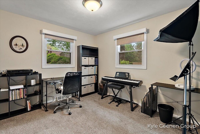 69 Cheyenne Ave, Holland, MI 49424 - office area with carpet