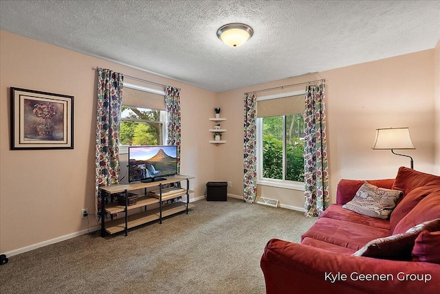 69 Cheyenne Ave, Holland, MI 49424 - carpeted living area featuring plenty of natural light and a textured ceiling