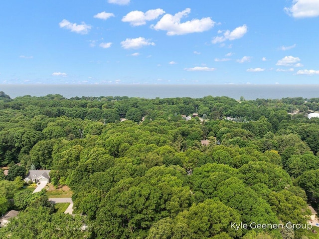 69 Cheyenne Ave, Holland, MI 49424 - drone / aerial view of a forest and a large body of water