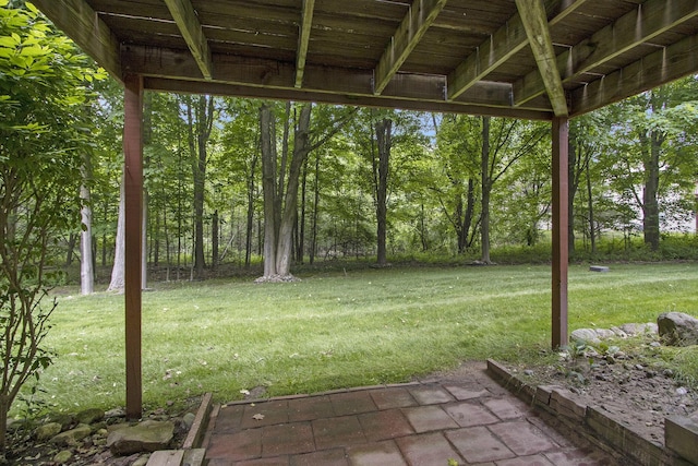 5973 Woodsong Way, Kalamazoo, MI 49009 - view of green lawn