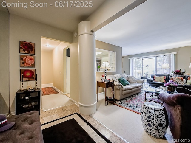 16820 Edloytom Way Unit 172, Clinton Township, MI 48038 - living room featuring baseboards and ornate columns