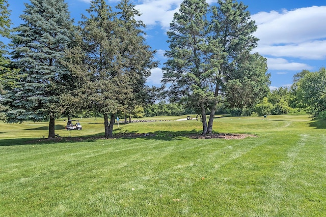 712 Dornoch Dr, Ann Arbor, MI 48103 - view of grassy yard featuring view of scattered trees