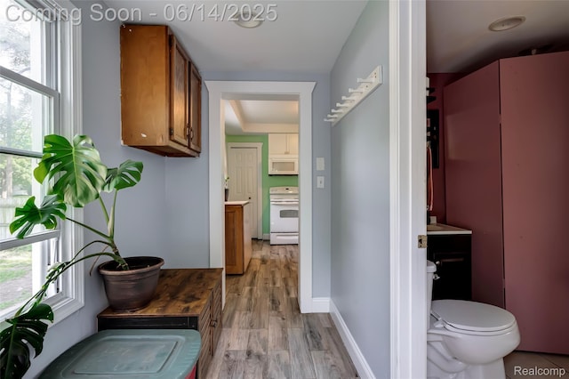 1217 E Madge Ave, Hazel Park, MI 48030 - hallway featuring light wood-type flooring and healthy amount of natural light